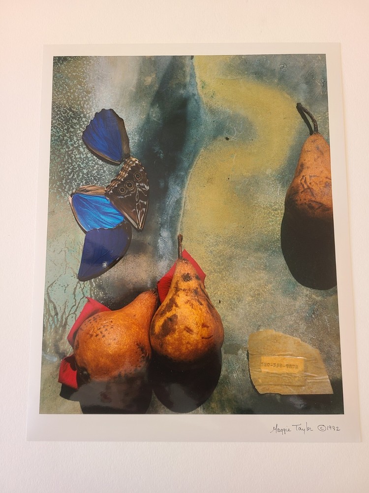 Maggie Taylor Original Phtograph 1992 #520-358-9872 Signed