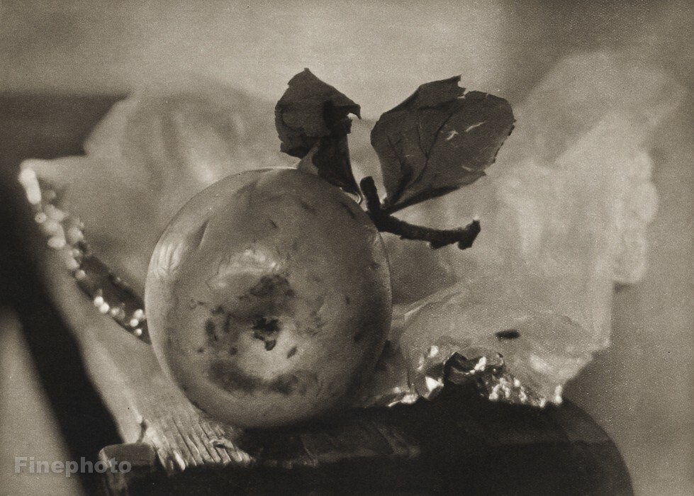 1950 Josef Sudek Apple Still Life Food Fruit Kitchen Original Photo Gravure Art