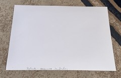 ORIGINAL SIGNED FINE ART PHOTOGRAPH BIG BIRDS AFRICA & USA ESTATE FIND NEW YORK