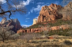 Zion National Park January Utah #12 Red Rock Canyon Poster Photo Print ZP19