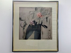 Frances & Robert Waltz Fine Art Photograph of a Rose