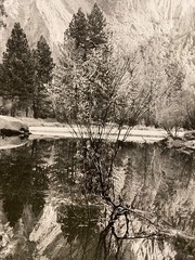Black & White Photograph Merced River Bob Werling Ansel Adams Student California