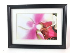 ORCHID WORLD, 4×6 » MATTED AND FRAMED PRINT, READY TO HANG, GREAT GIFT!