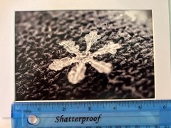 4”x6” Snowflake Print With Photo Mat