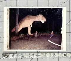 Ted Degener – Food Chain, 1984 – Fotofolio Art Card Print