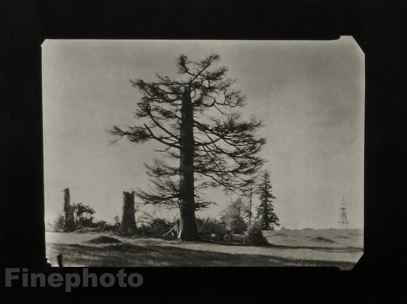 1955/78 JOSEF SUDEK Vintage Czech Photo Gravure Moody Sky Pine Trees Landscape