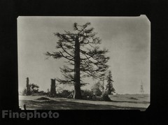 1955/78 JOSEF SUDEK Vintage Czech Photo Gravure Moody Sky Pine Trees Landscape