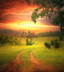 Digital Picture 3D Abstract Image Pic PNG JPEG Wallpaper Sunset field