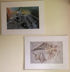 H. David Stein Matted Fine Art Photography Prints 24″X 18″ Lot Of Two (2)