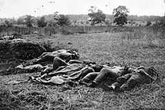 New Civil War Photo: Dead in The Wheatfield after Battle of Gettysburg – 6 Sizes