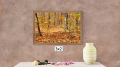 Fall Forest Leafy Ground 1, High Resolution Image, Many Formats, TV Art