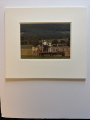 Bill Coleman Signed Amish No 682 AP Matted Photograph Farmers Horse Wagon