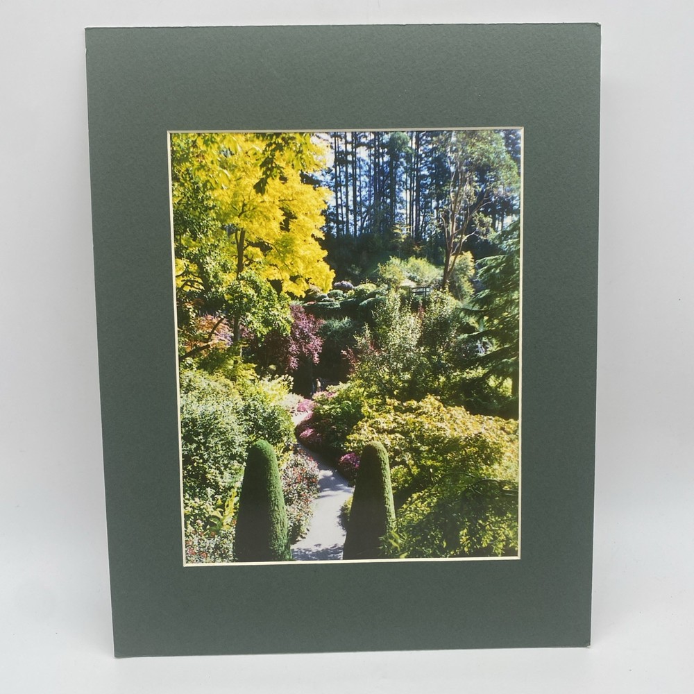 Matted Flower Garden Landscape Photo Print 11 X 14 Wall Art Gallery Decor