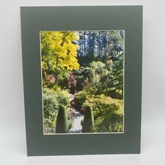 Matted Flower Garden Landscape Photo Print 11 X 14 Wall Art Gallery Decor