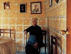 BERT TEUNISSEN Domestic Landscape SIGNED Photograph ‘Pino del Oro #3’ 2005 14×17