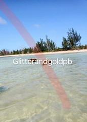 Digital Image Picture Photo Swimming With The Pigs Bahamas
