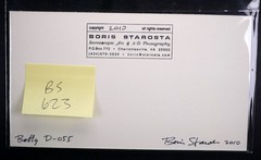 Boris Starosta 3D Stereoview – Betty D 055 – nude model signed 2010