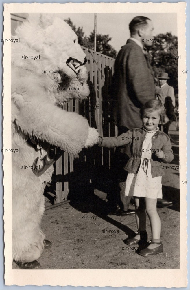 Man in Polar Bear Costume Shakes Hand with Little Girl – Food – Photo Postcard 9x14cm