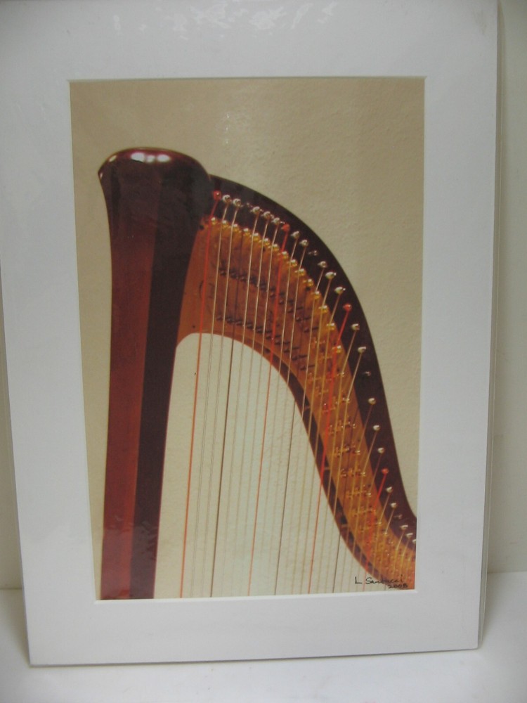 ART PHOTOGRAPHY Harp 11×14 Color Photo by Larry Santucci COA