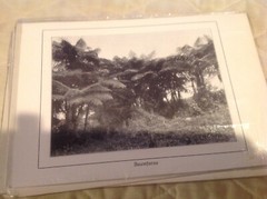Vtg Antique Africa Photographs Signed J K Nature Waterfall Tree Bridge Swahili 7
