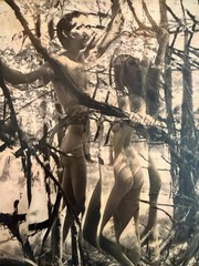 Harriet Tannin Signed Fine Art sepia Couple Woods Vertical Strip Abstract sepia