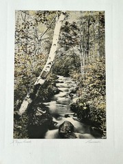 Hall Burrowes «A Maine Brook» Hand Colored Photo Nutting Peer