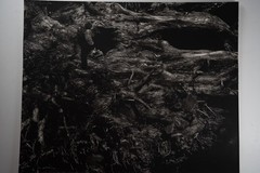 Photographic Print Vintage France Nature Detail 40X50 Cm 1970