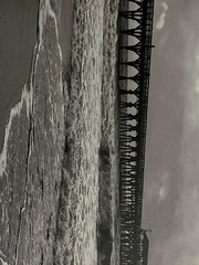 beach photo black and white 12in x 18in south caroline pier