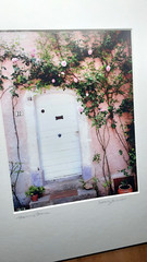 Catherine Archuleta Photograph Provence France SIGNED Pink House Roses + Purple