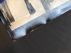 NEWLY FOUND! Hendrickson PHOTO Contact Sheet Proof & Negatives MADAM & her DOG