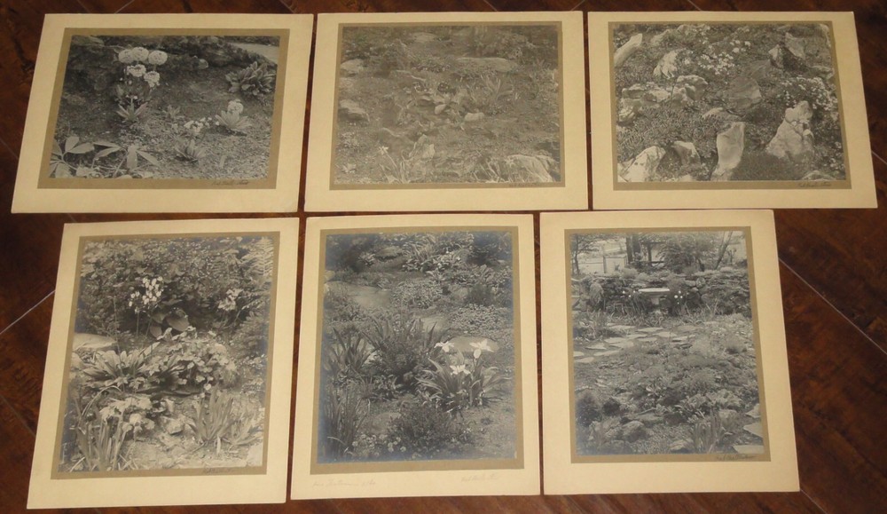 6 Vintage Signed Matted Sepia Photographs ~ Montclair NJ Botanical Gardens