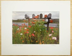 Tom Adams Photography Rural Road Mailboxes Poppies Flowers Oregon Photo Art 8×10