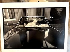 Neal White Signed Photograph «No Dogs Allowed» – 1976/2006 Epson Print