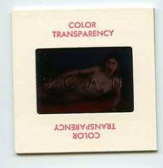 Org Camera Club Nude 60s 35mm Slide Negative- Super Endowed Woman- Long Hair #14