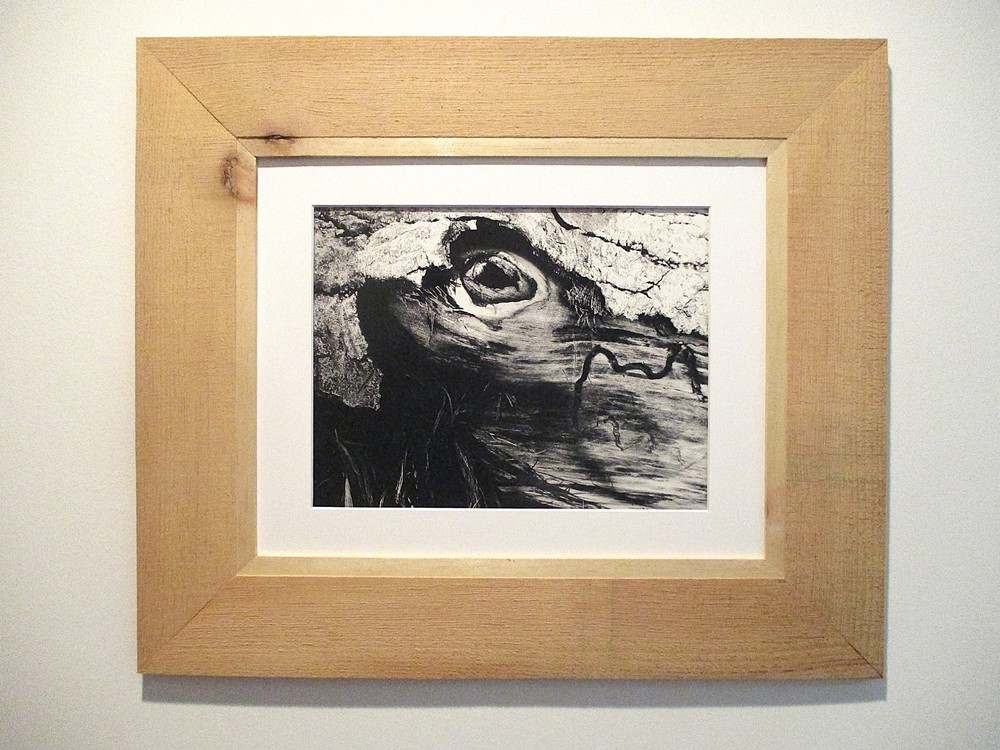 fine art black and white photographs north woods strange