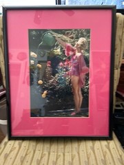 Sexy Neighbor Tease Photo 9.5 X 14 Photo Voyeur Series – “Carol, I Think”