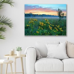 Ohio Landscape, Sunrise, Wildflower Field – Fine Art Photo, Metal, Canvas, Paper