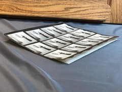 NEWLY FOUND! Hendrickson PHOTO Contact Sheet Proof & Negatives MADAM & her DOG