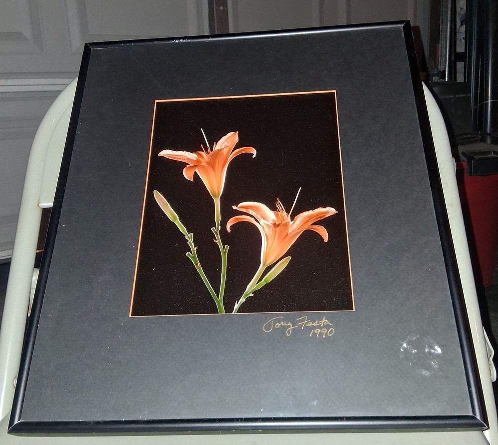 Cibachrome ART PRINT Signed & Framed Print Tony Festa RARE