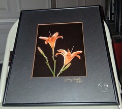 Cibachrome ART PRINT Signed & Framed Print Tony Festa RARE