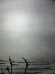 Gerhard Reimann FROZEN NORTH Photograph Canada’s Northwest Territory 20×16