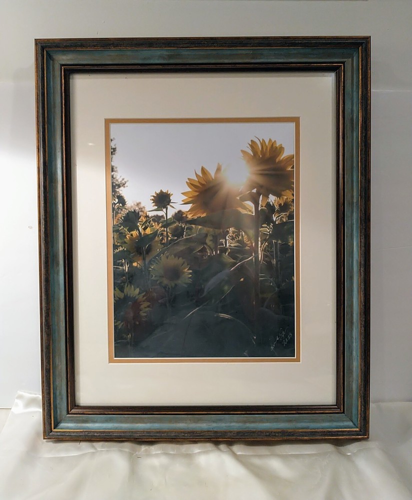 Picture Sunflowers Double Matted Teal Frame Signed Photography 19 x 22.5″ NEW