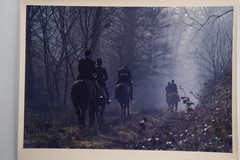 Vintage Analog Photo France Hunting Foxhunting Horse 24X30Cm 1970