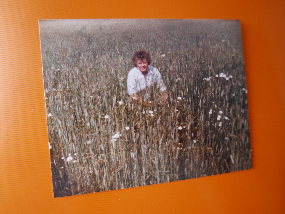 «AMERICA»: PHOTO, PHOTOGRAPH, WAY OF LIFE, WOMAN, MEADOW, NATURE, SUMMER, FLOWERS, LADY