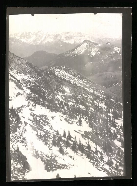 Photograph W. Apel, Berlin, view Bayrischzell, mountain flank on Wendelstein in