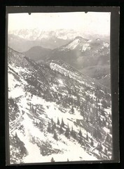 Photograph W. Apel, Berlin, view Bayrischzell, mountain flank on Wendelstein in