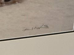 Thomas Mangelsen «Bad Boys of the Arctic» Polar Bears 714/3500 30″x45″ Signed