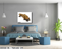 Reptilian Royalty: Gila Monster Wall Art Metal Acrylic Print Reptile Photography