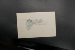 Photo portrait CDV KAB Vienna woman costume model colored color dress cabinet picture