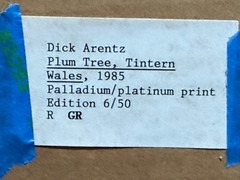 Dick Arentz, Taro, Plum Tree, Tintern Wales, 1985, Palladium / Platinum Print